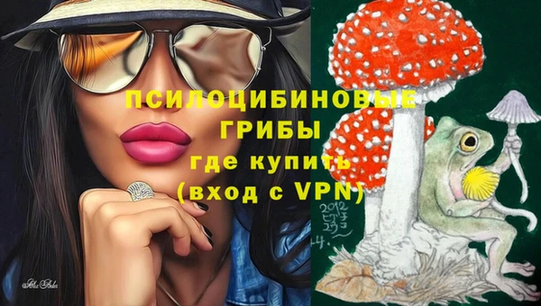 mdpv Армянск