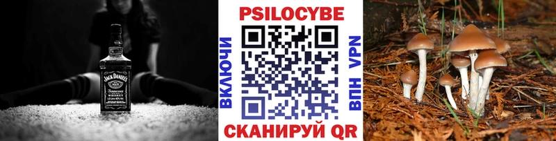 Галлюциногенные грибы мицелий Осинники